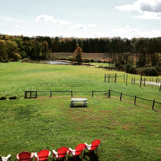 The Barns at Hamilton Station Vineyards Photos