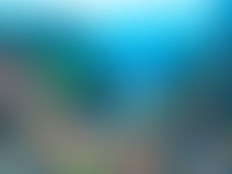 6月のある日