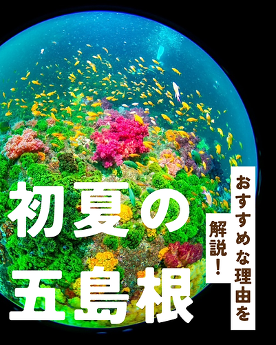 1 2.PNG