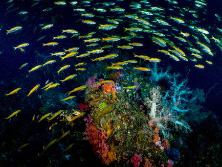 ぐっちゃり夏の海!!!