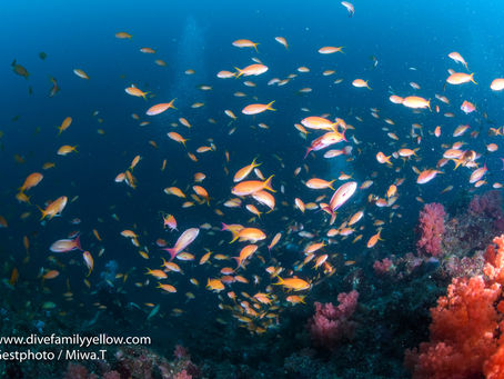 忙しく楽しかった週末