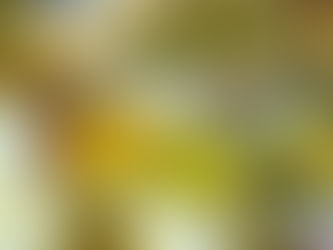 中々思うようには・・・