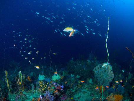 日々この海が好き