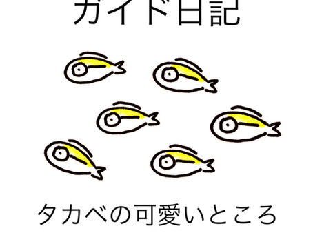 こんなタカベも見せたいな