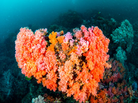 ありがとうございます。