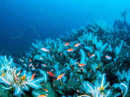 濃霧にてクローズ、久々の平沢へ