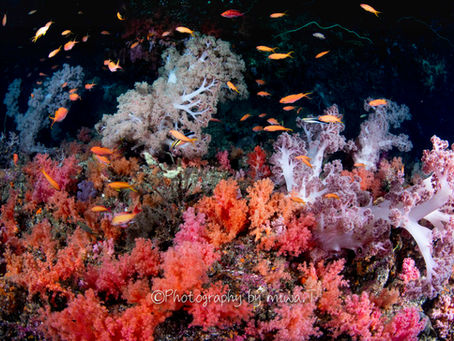 ラストに想いを