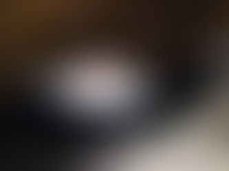 恋するキタマクラ(生態観察部)