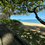 Thumbnail: Airport transport van traveling from Cairns to Palm Cove along Captain Cook Highway - GSS Transportation