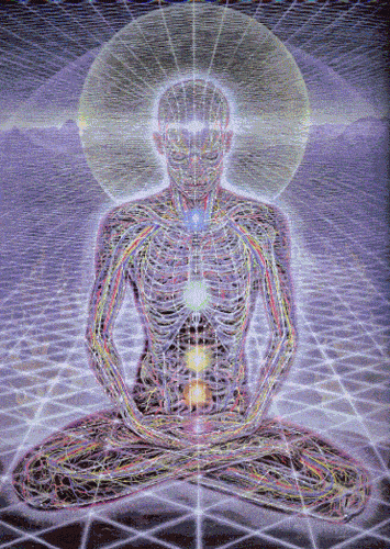 alex_meditación