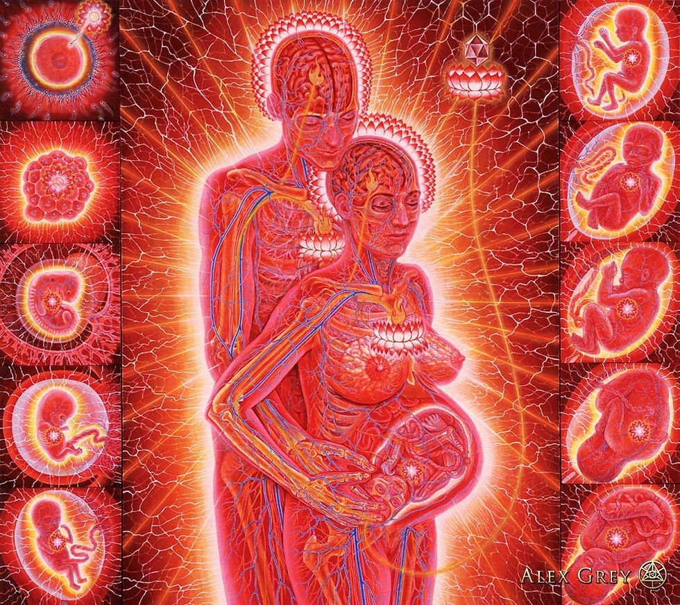 Alex_Grey-Pregnancy2-Style-by-Freedom