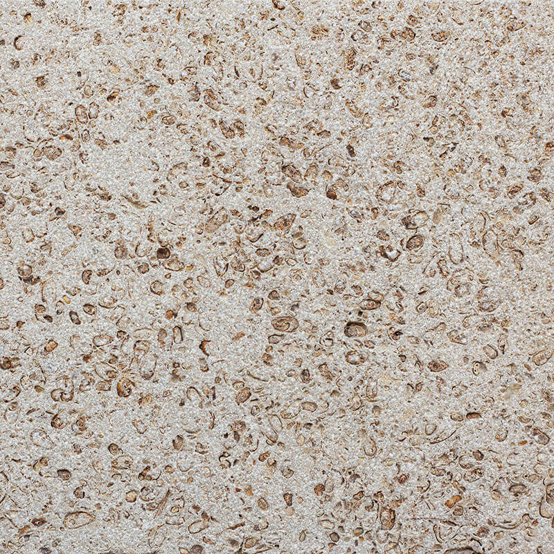 Chestnut Shell Paving brushed