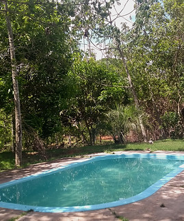 IMG_20201102_140138321-4_edited.jpg