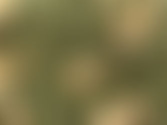 自分の身体のメンテナンスしてますか？