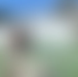 Ban Gioc Waterfall Tour from Hanoi 2nights/1day