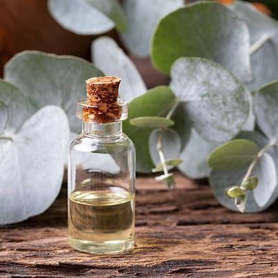 bottle-of-eucalyptus-essential-oil-with-