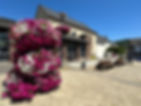 image00001.jpeg