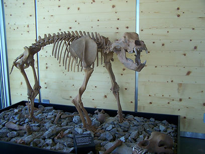 100_8283.JPG