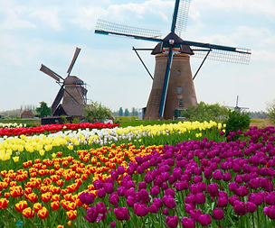Holanda.png