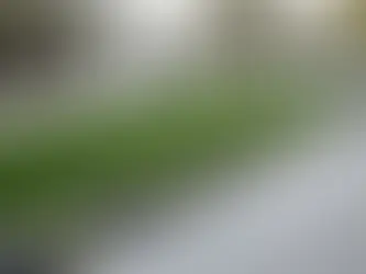 The Real Cost of Artificial Turf for Your Backyard