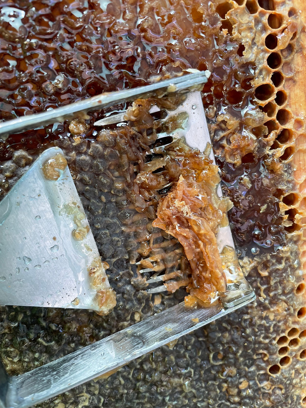 Thumbnail: Raw Local Honey (1 lb)