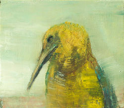 Desert Bird