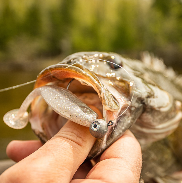 Thumbnail: Rapala® Crush City The Mayor