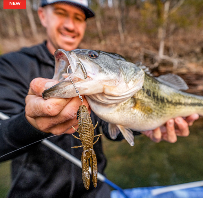 Thumbnail: Rapala® Crush City Bronco Bug