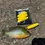 Thumbnail: 4REEL 3" EVA Peg Float - Pack of 3