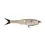 Thumbnail: Berkley® Powerbait Nessie 5" Glide Bait