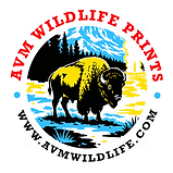 Logo Sticker Bison.png