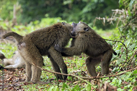 Togel HONGKONG 23 OKTOBER 2022