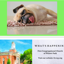 What's Happening: FCCWP August 2026 Newsletter