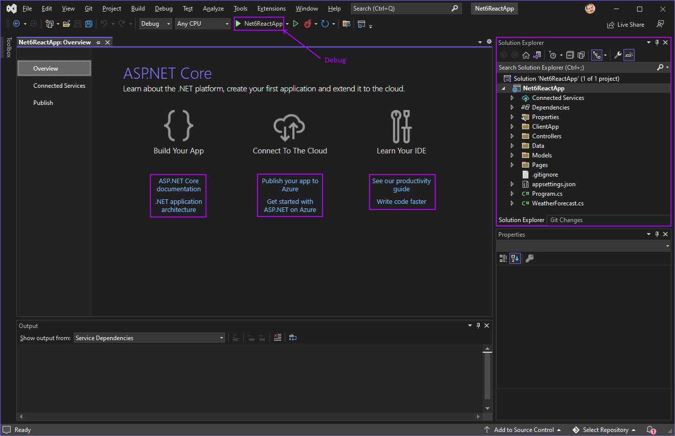 Project Overview screenshot
