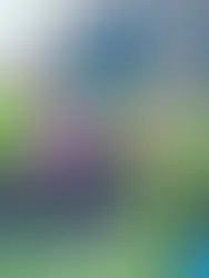 Avesta: Who’s Thriving, Who’s Struggling, and Who’s Kissing Everyone?