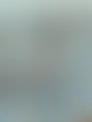 “They are Seeds Afterall”: When Venatoria Went Underwater