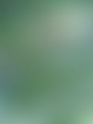 Tolaria Opens Its Gates: A New Era of Stability and Opportunity