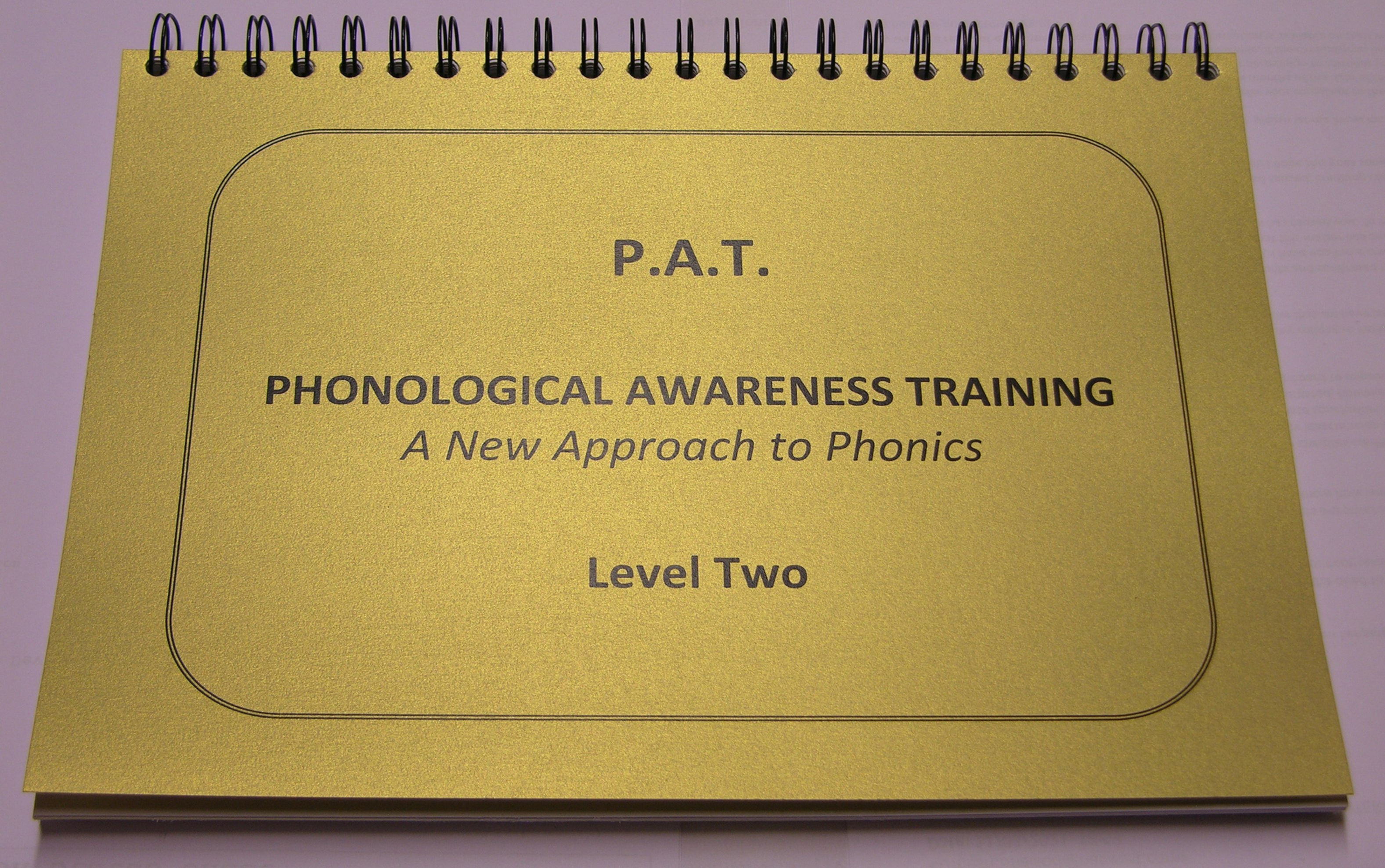 PAT programme Level 2