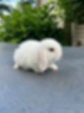 IMG_7754.jpeg