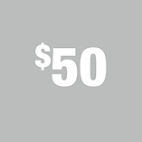 Untitled-1 (61).png