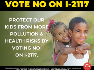 VOTE NO ON 1-2117