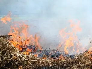 King County Fire Marshal issues Stage 1 Burn Ban, restricting yard debris fires in unincorporated areas