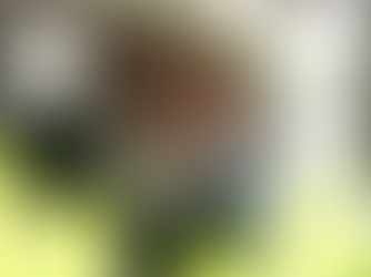 In Loving Memory of Anthony M. Barnes Sr.