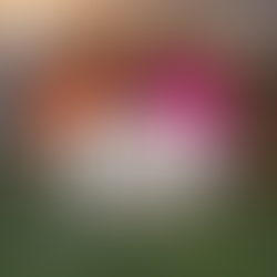 The International Association of Ministers Wives & Widows (IAMWMW), Western Regional Conference, is being hosted by the WA State Association of MWMW, Feb 5th - 7th, 2026