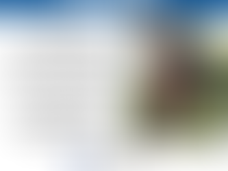 Seattle Parks & Recreation. Tree Trimmer. $33.25-35.95/hour. Day shift and on-call.