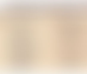 Thanksgiving Menu at The Comfort Zone Restaurant: great choices and reasonable prices!