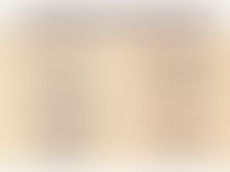 Thanksgiving Menu at The Comfort Zone Restaurant: great choices and reasonable prices!