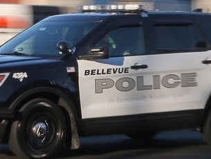 Community representatives wanted for team investigating police use of deadly force