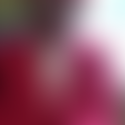 In Loving Memory Patricia Smith 