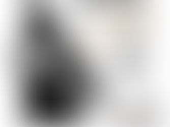 JOE BRAZIL BIRTHDAY BASH 2022